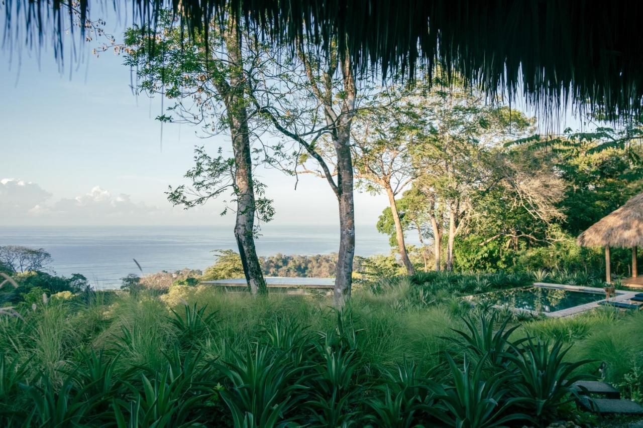 Thea Resort & Retreats - Santa Teresa Playa Santa Teresa  Ngoại thất bức ảnh