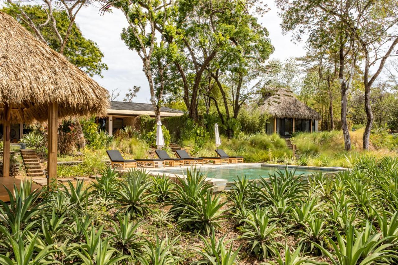 Thea Resort & Retreats - Santa Teresa Playa Santa Teresa  Ngoại thất bức ảnh